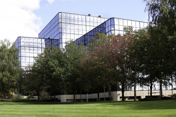 Commercial Tree Trimming in Sioux City