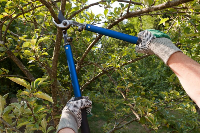 Equipment for Tree Pruning
