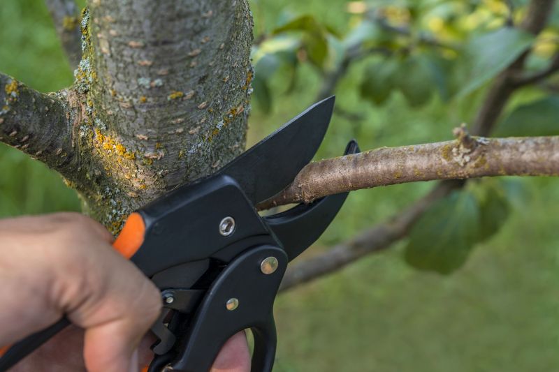 Structural Tree Pruning